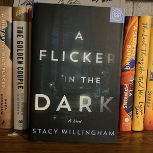 A flicker in the dark by Stacy willingham